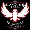 Barbagianni - Cacciatore della Notte