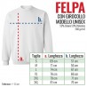 guida