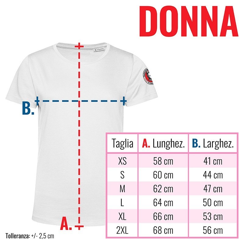 guida