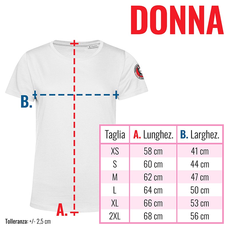 guida
