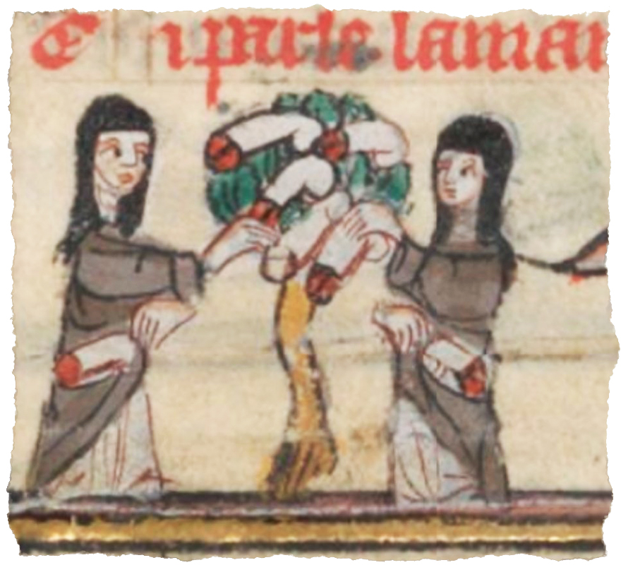 Albero Medioevo